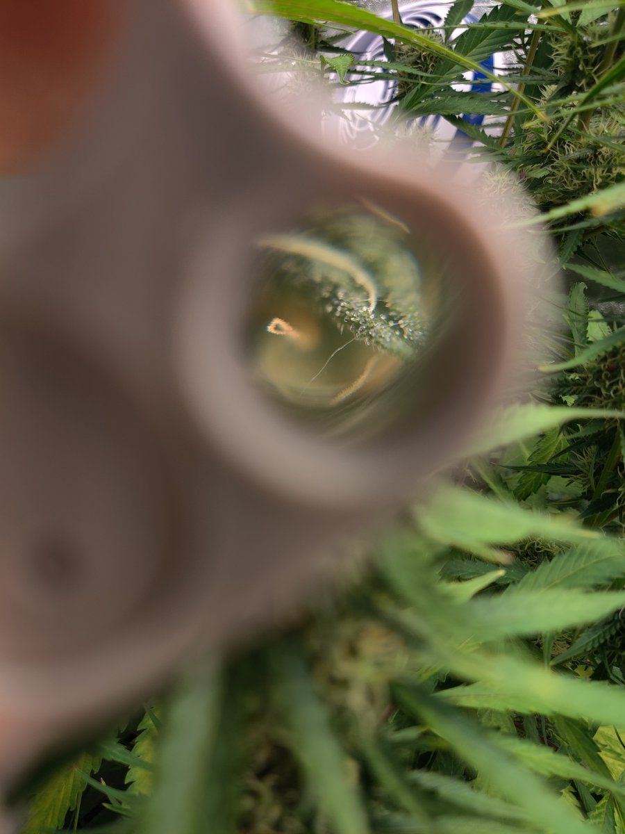 IMG 20211009 133439