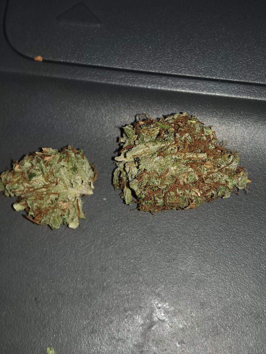 IMG 20211013 121753