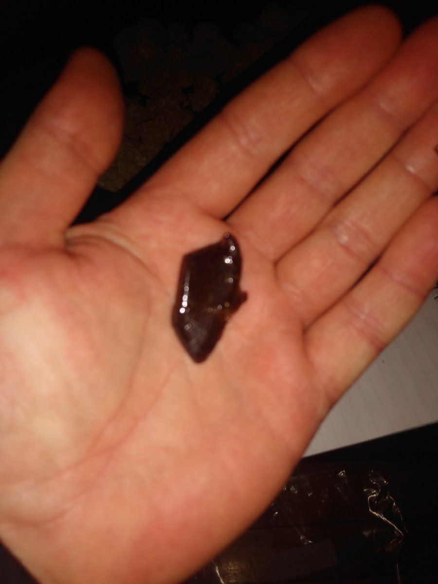 IMG 20211124 153049869