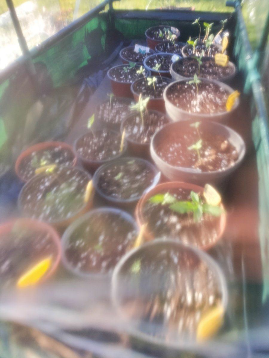 IMG 20220131 194646