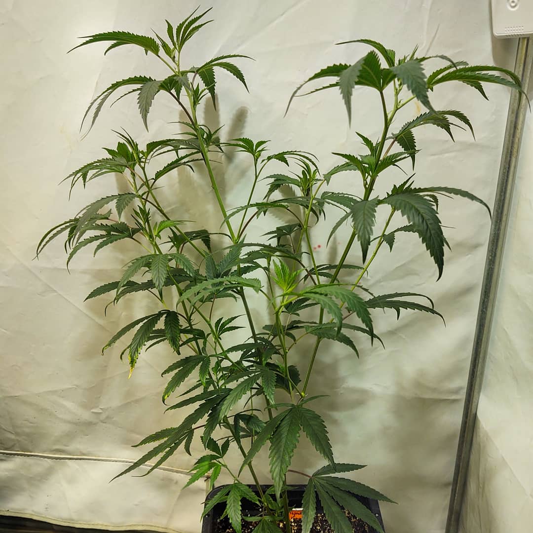 IMG 20220215 101421 962