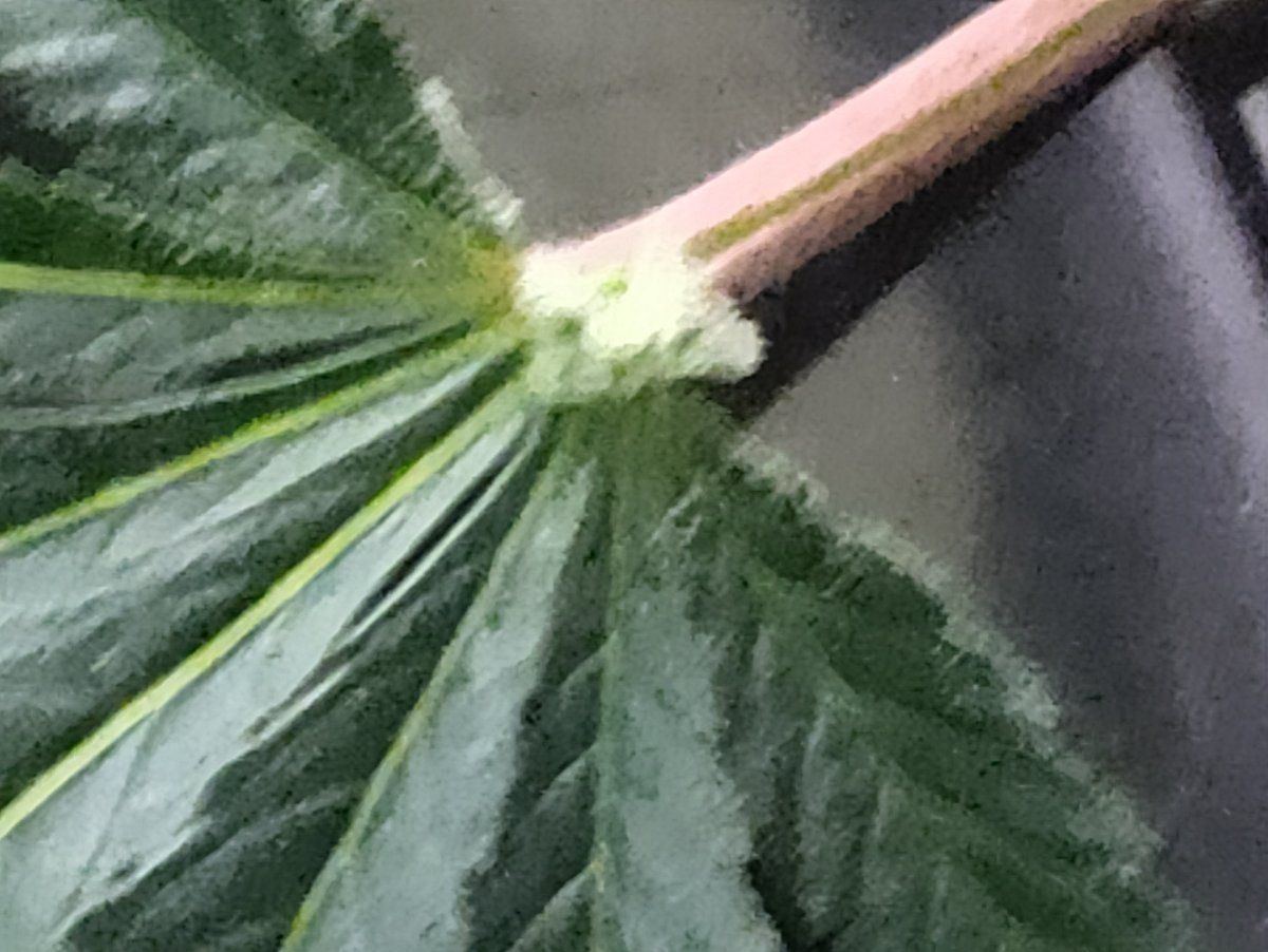 IMG 20220309 231808