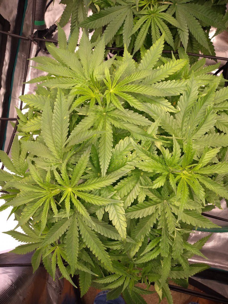 IMG 20220313 234031836