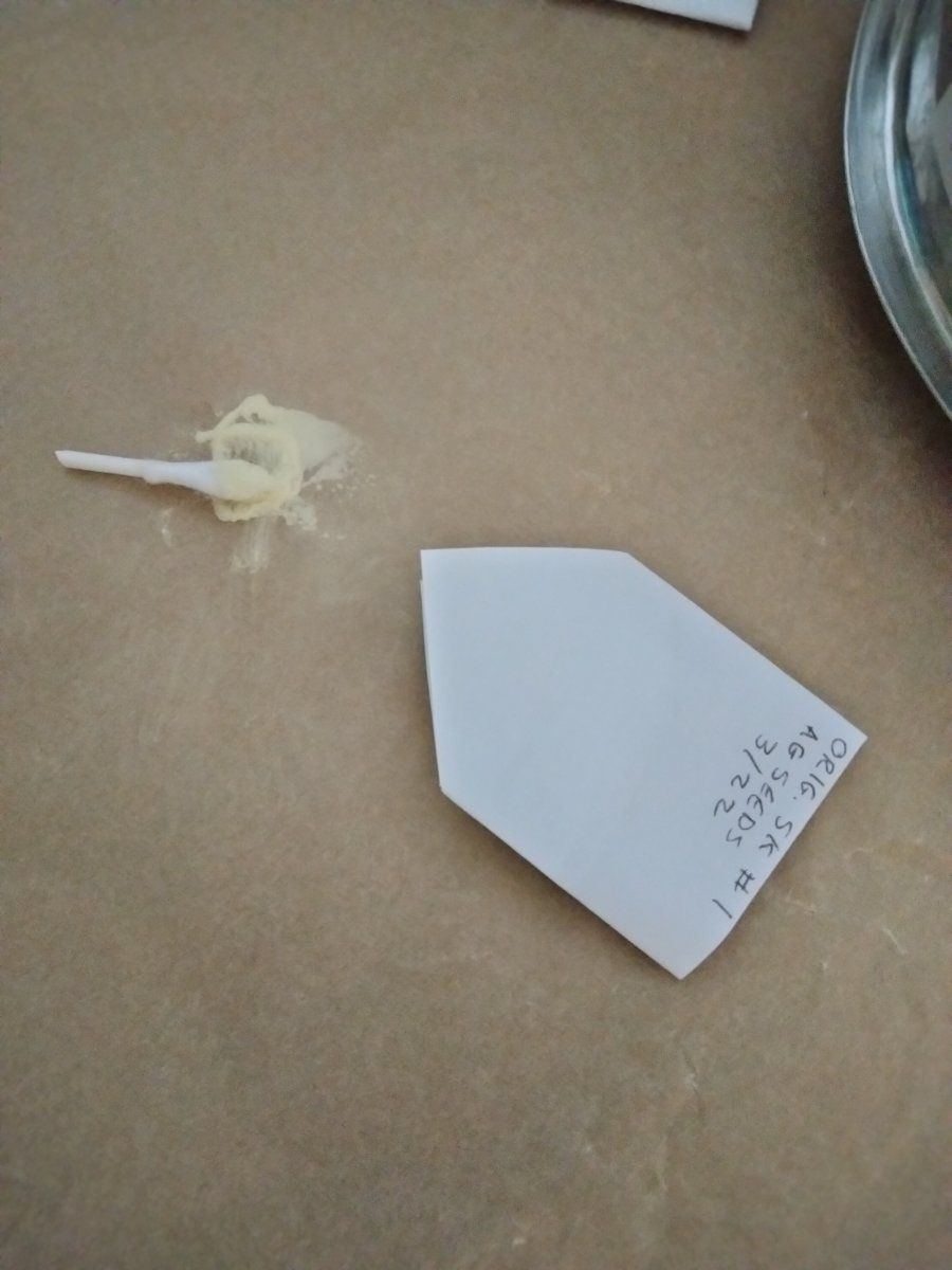 IMG 20220321 170747