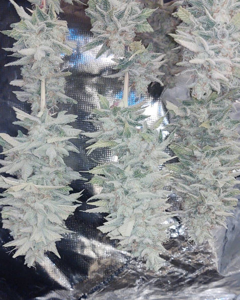 IMG 20220401 144900 298