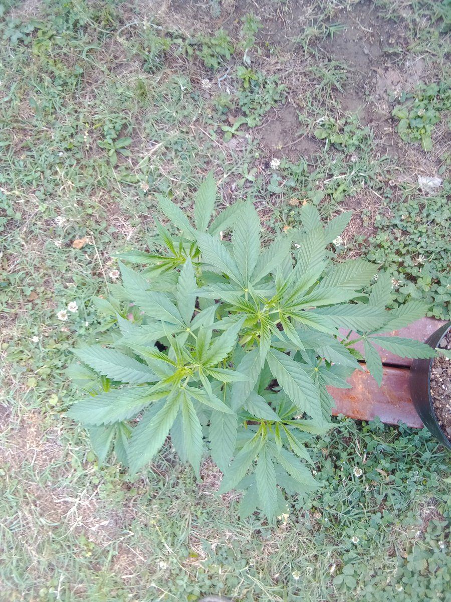 IMG 20220603 172829979