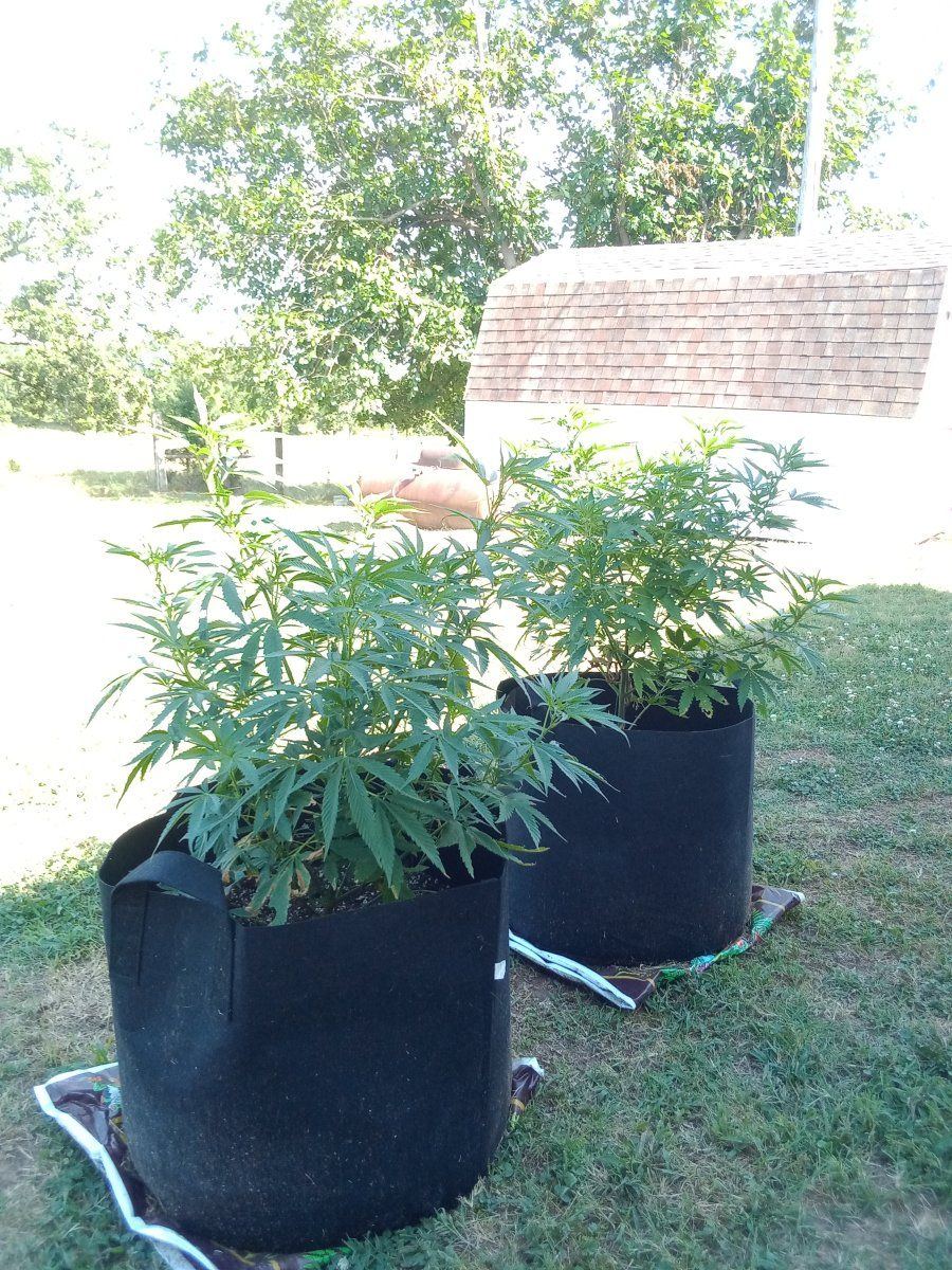 IMG 20220628 170131432