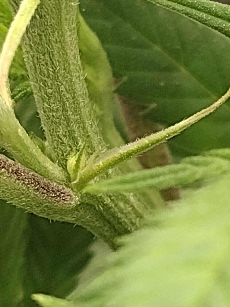 IMG 20220825 173644371 MP