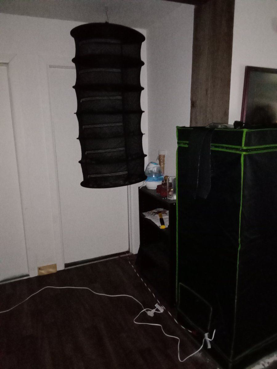 IMG 20220828 152649491