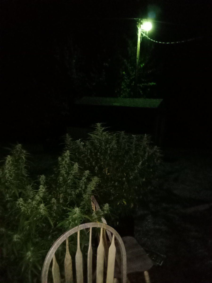 IMG 20220907 044939681