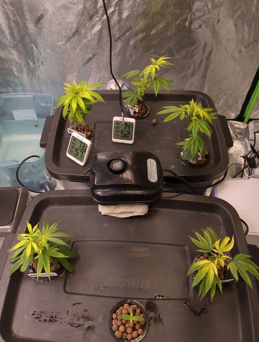 IMG 20220922 105648