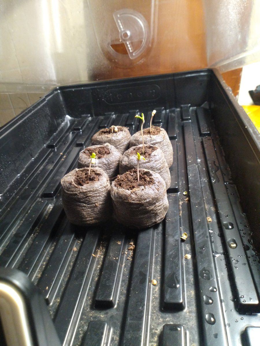 IMG 20221001 101630