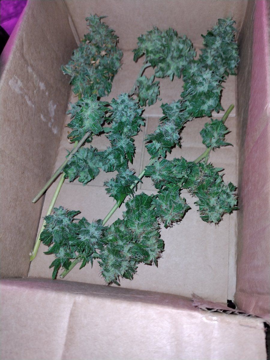 IMG 20221001 214316