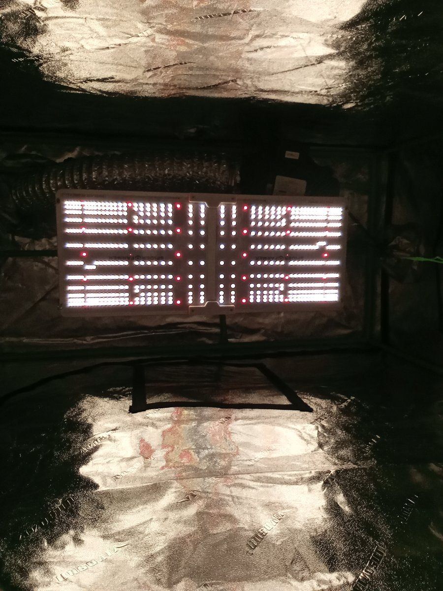 IMG 20221009 114221891