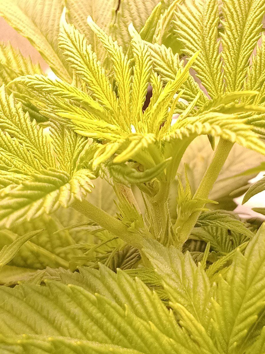 IMG 20221020 184957865