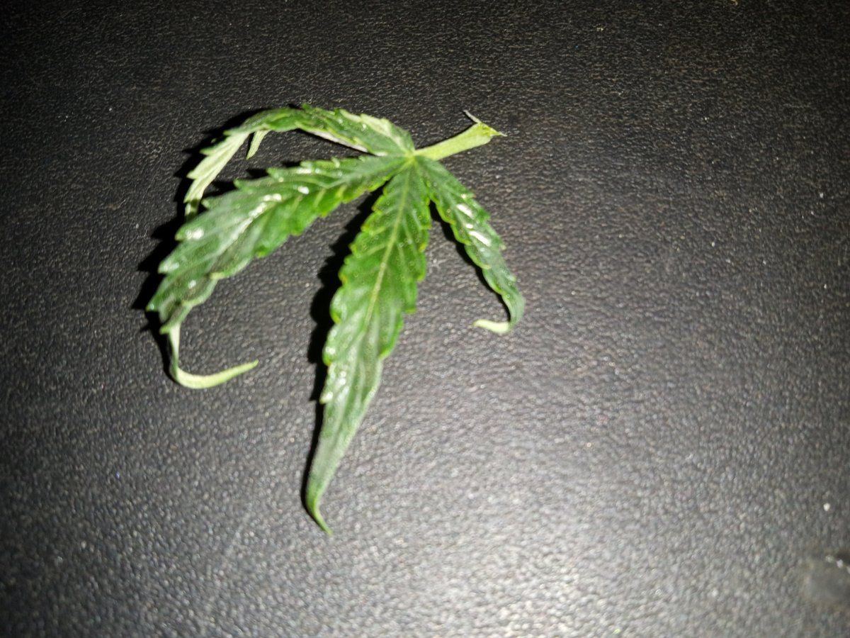 IMG 20221206 000236903