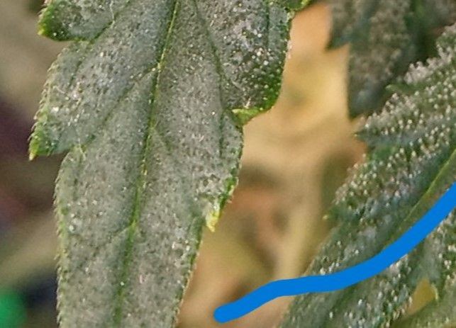 IMG 20221211 023812417