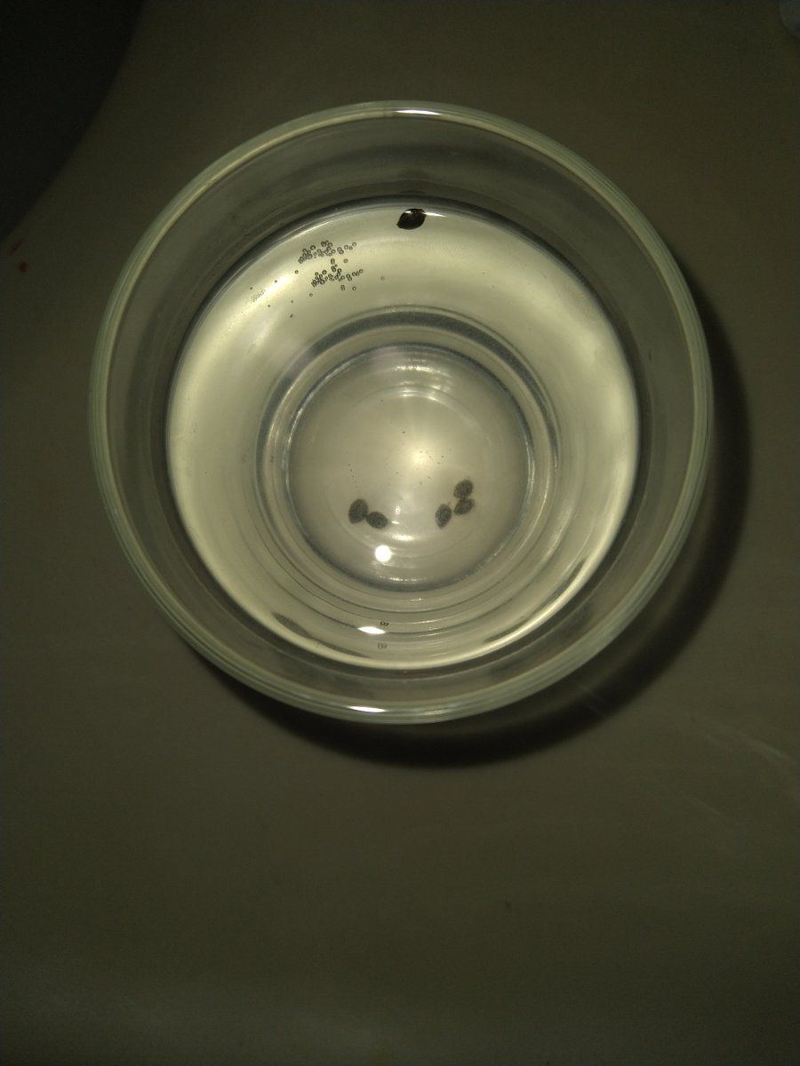 IMG 20230105 085829602