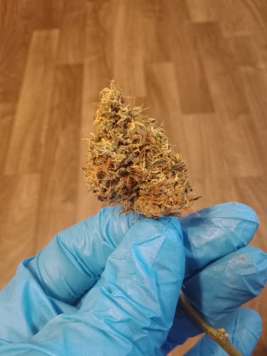 IMG 20230126 181459780