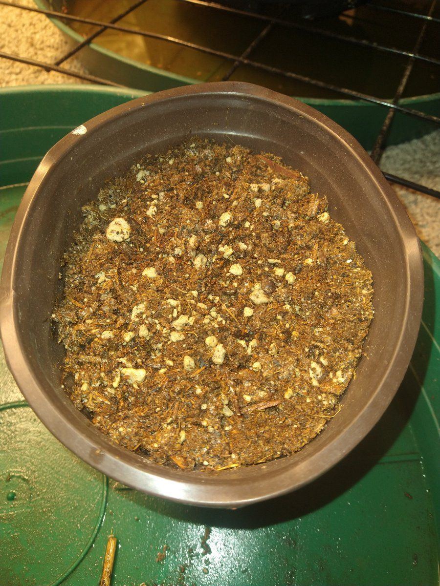 IMG 20230209 182913325
