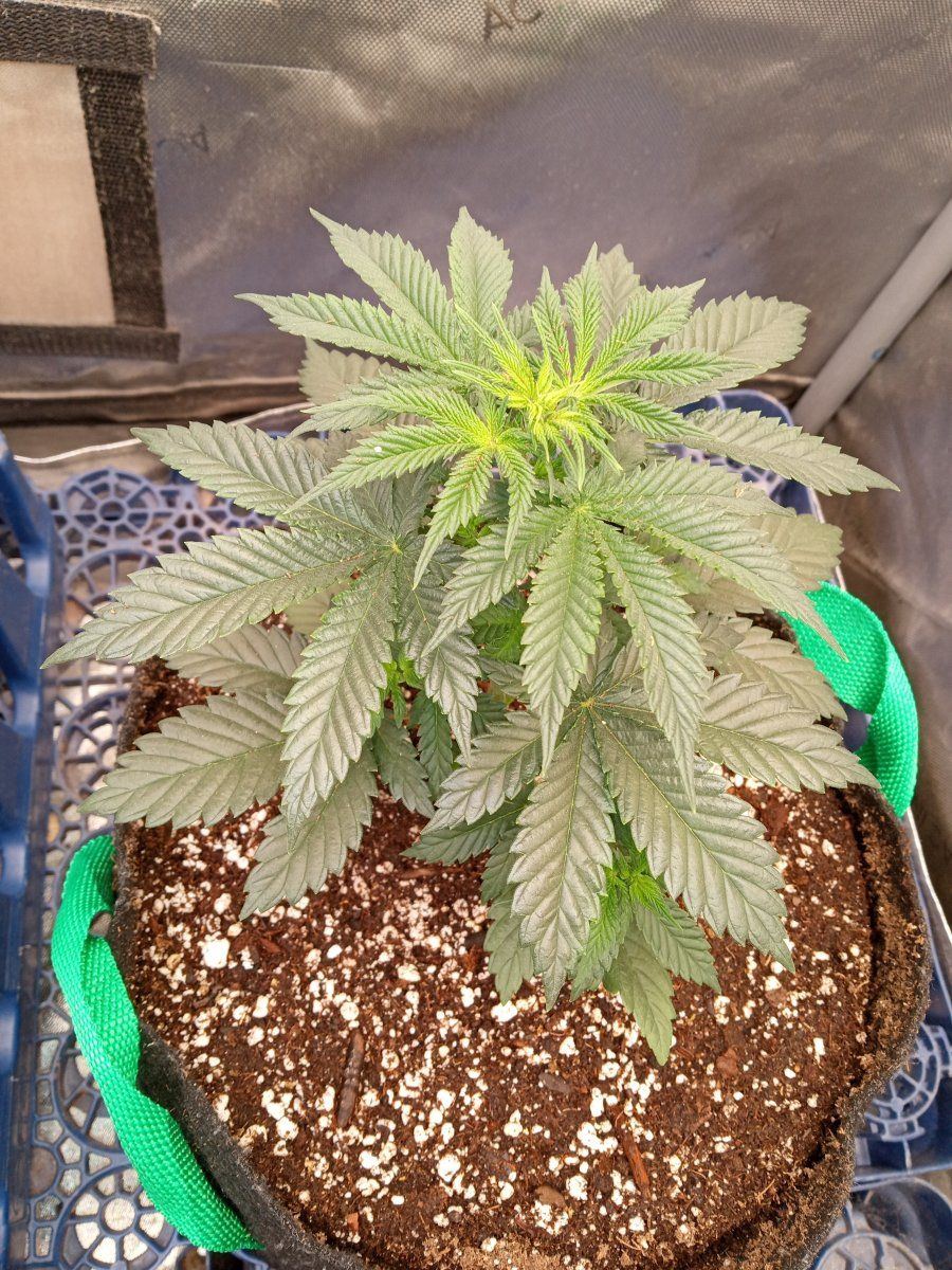 IMG 20230213 213732048