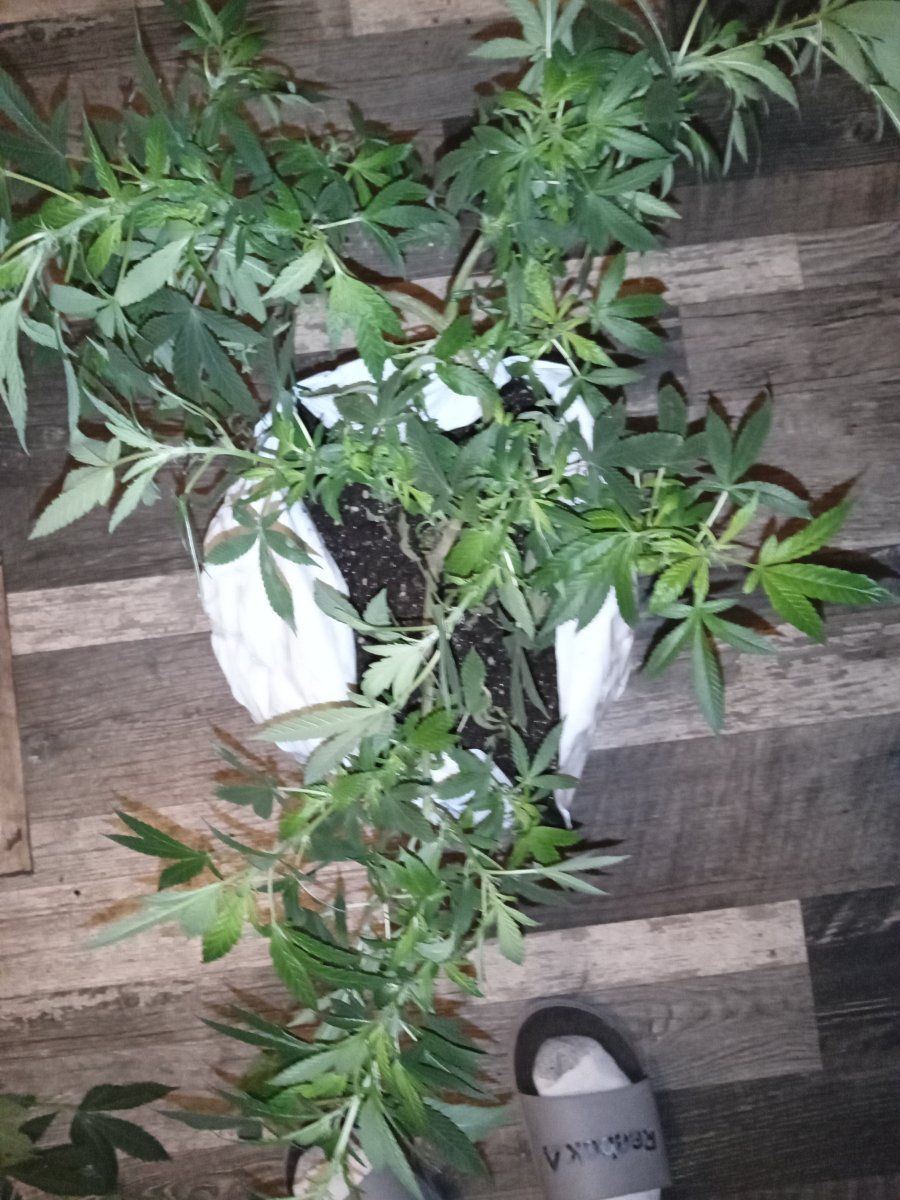 IMG 20230301 191757