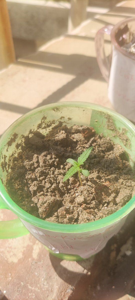 IMG 20230330 105001