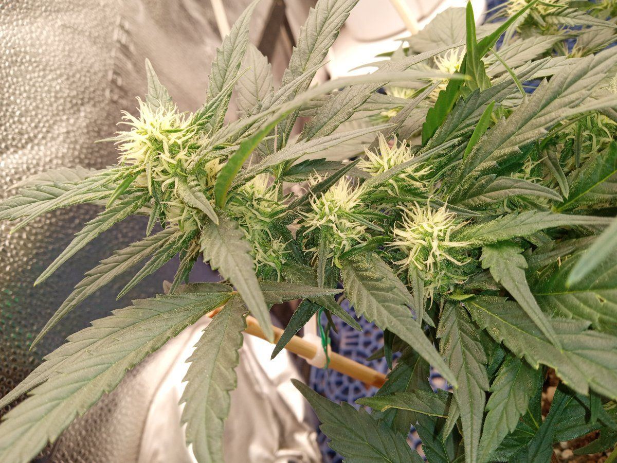 IMG 20230426 192128706