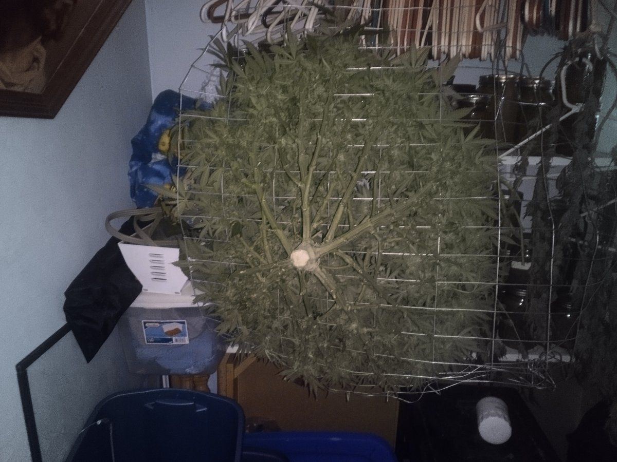 IMG 20230507 121425