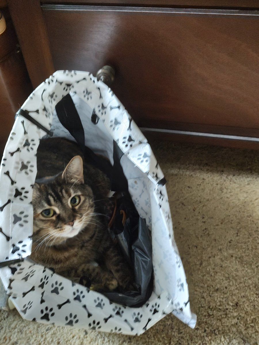 IMG 20230514 090809658 HDR