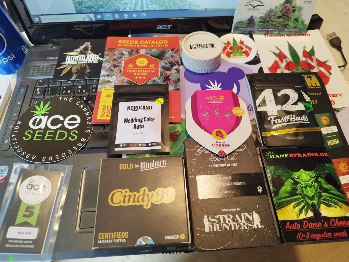 IMG 20230706 150036