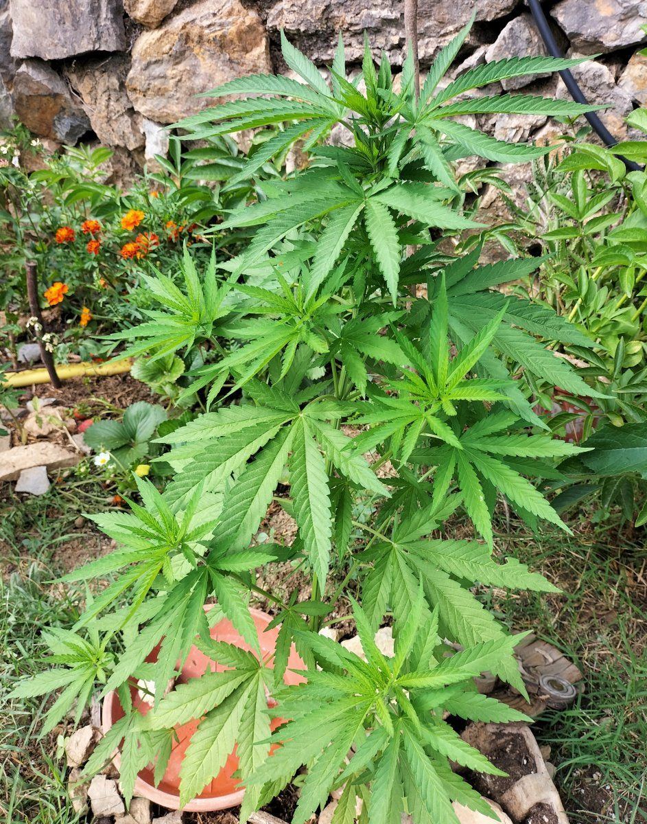 IMG 20230707 180800