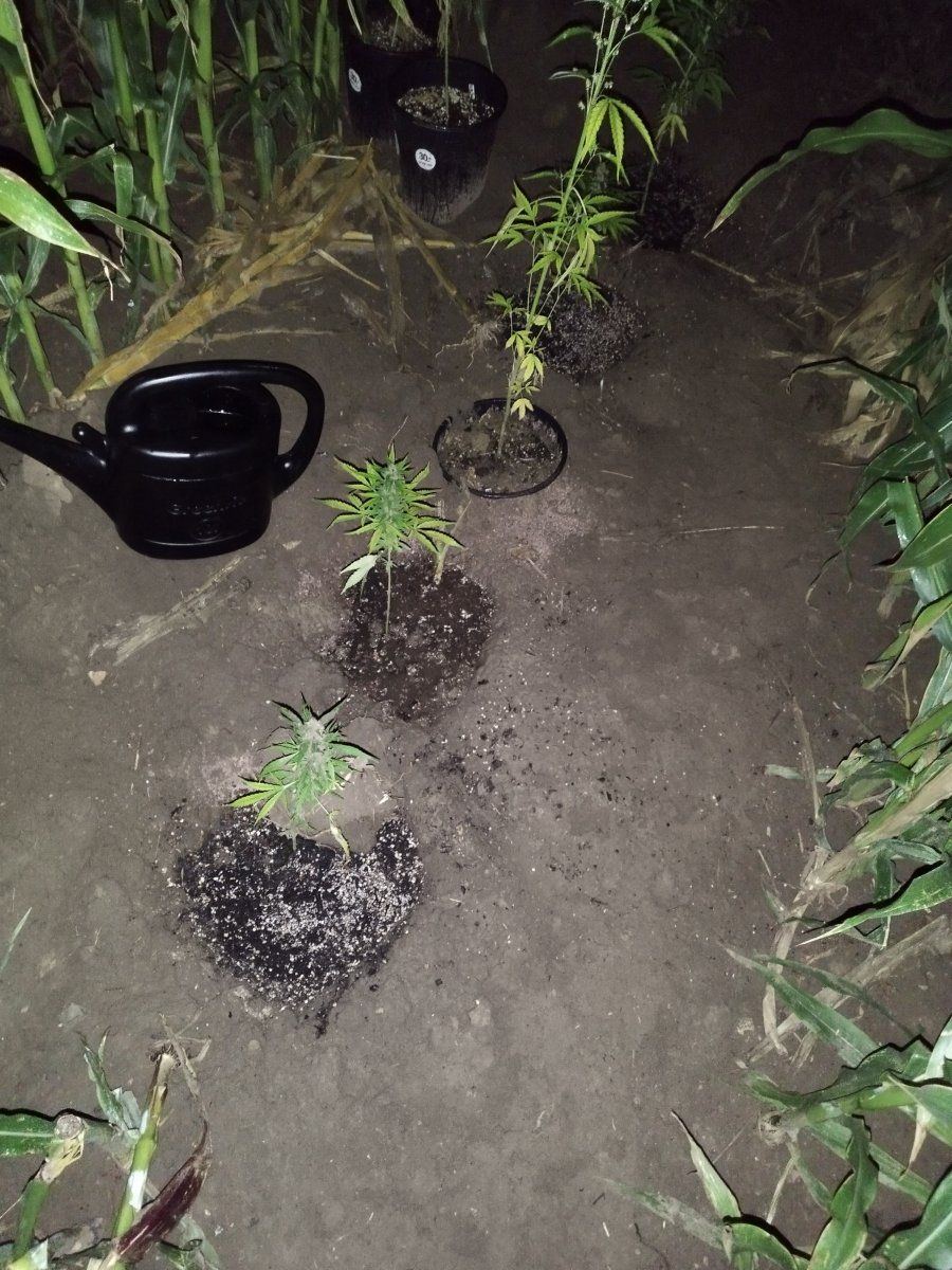 IMG 20230821 012618