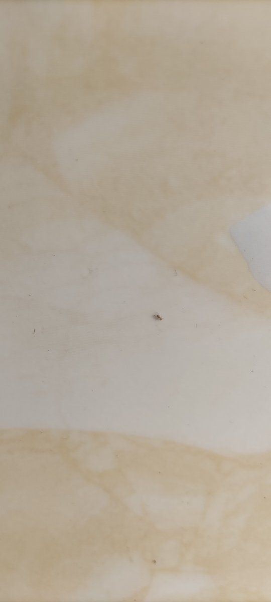 IMG 20230823 195301