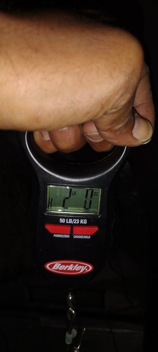 IMG 20230905 100839461