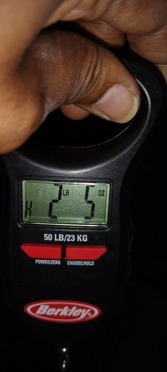 IMG 20230905 101017528