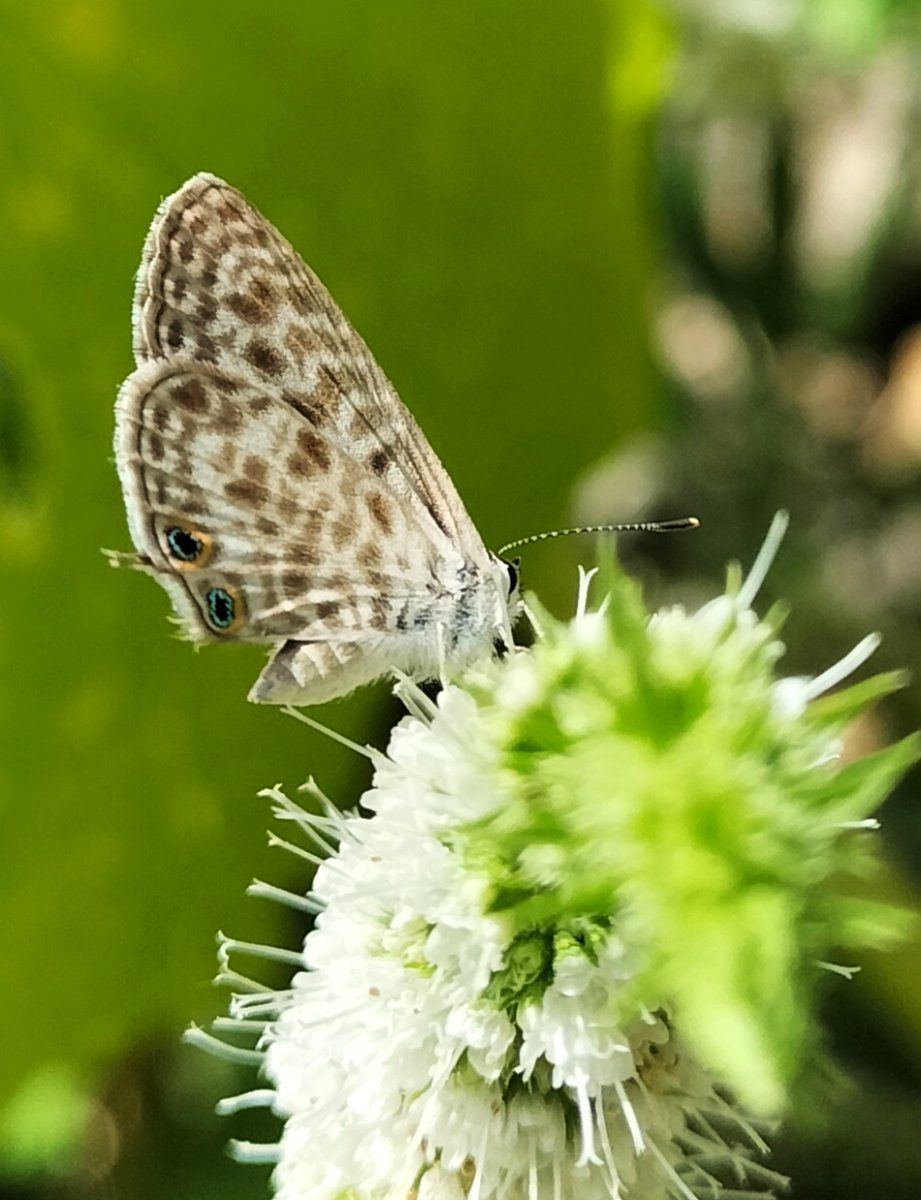 IMG 20230909 082601