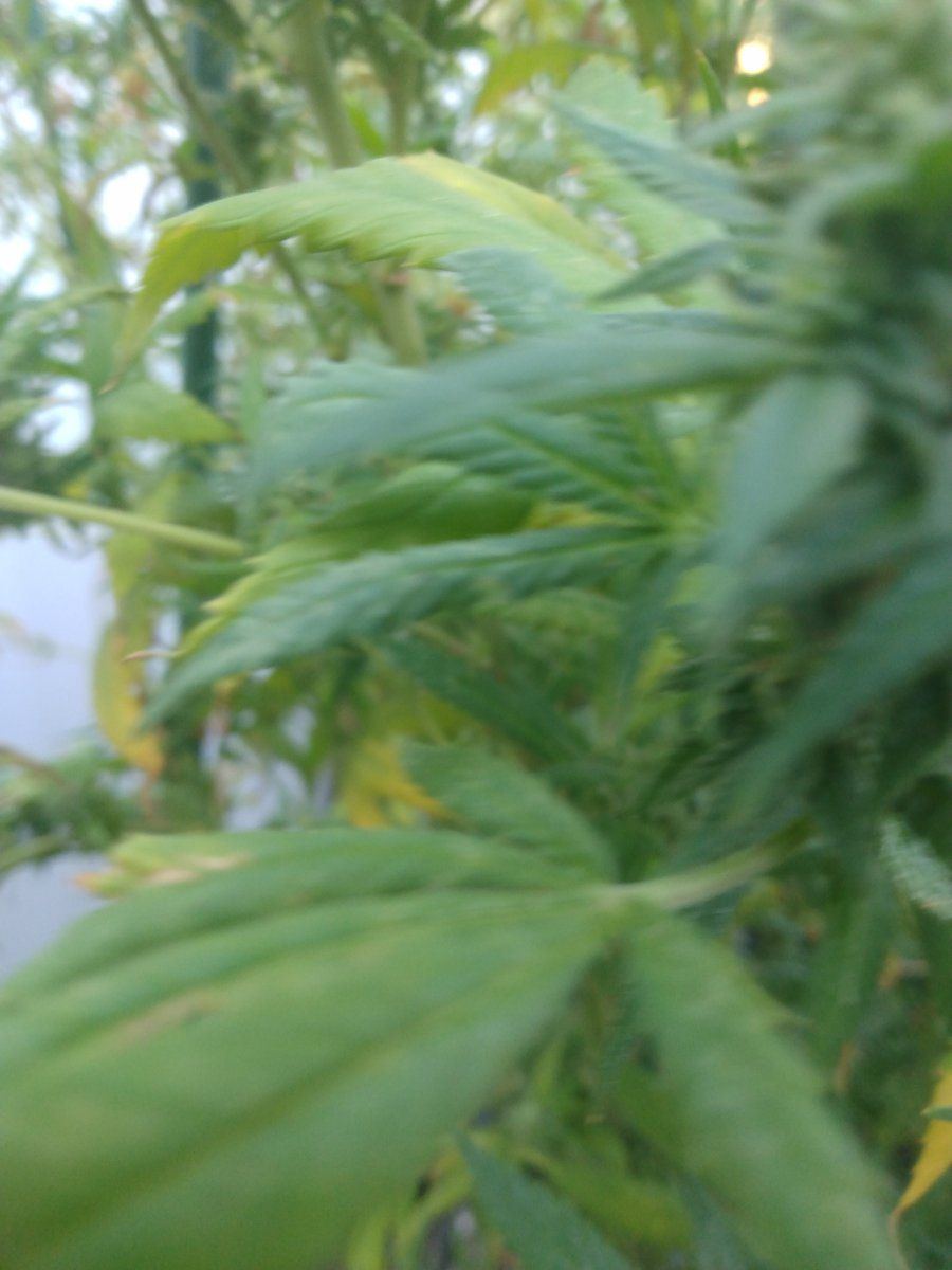 IMG 20230924 182447293