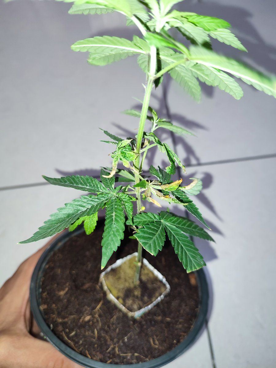 IMG 20231001 122933