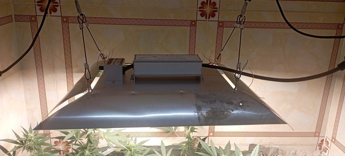 IMG 20231112 074310