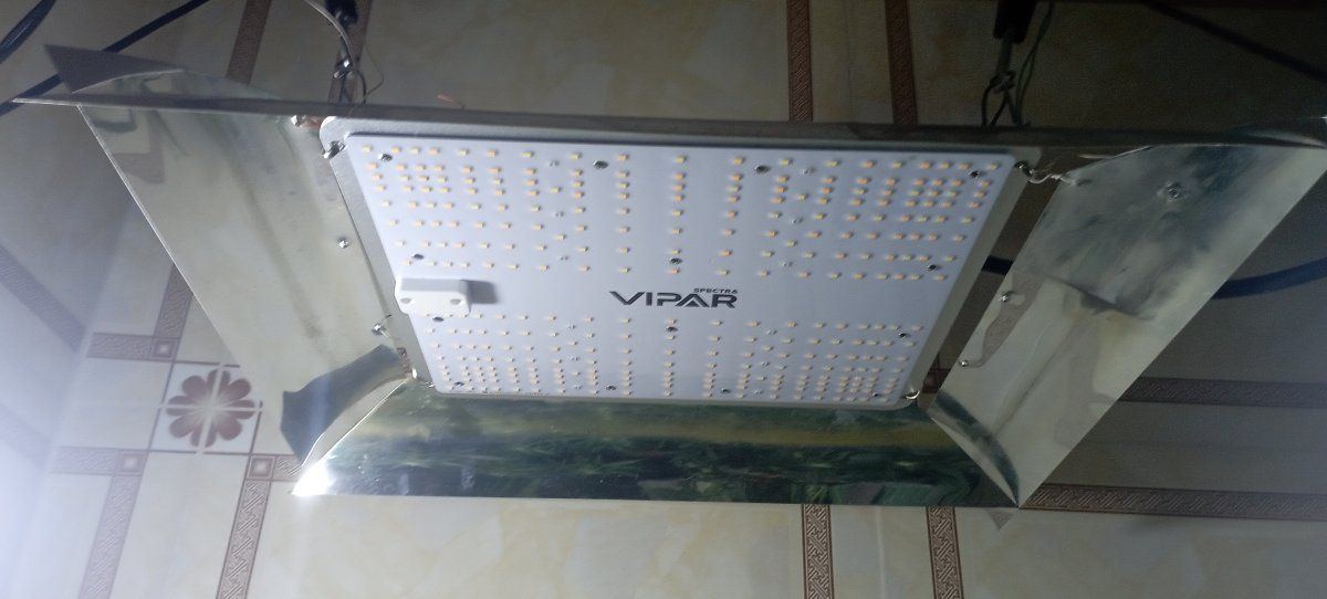 IMG 20231112 081737
