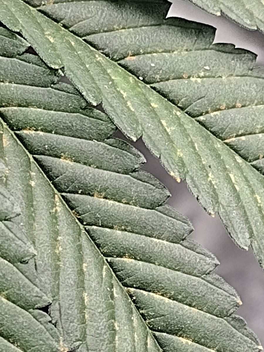 IMG 20231226 110610121