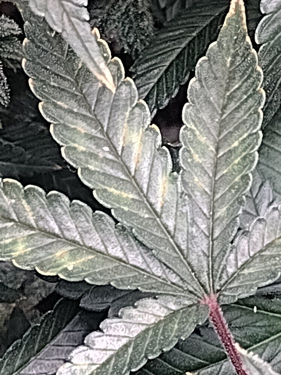 IMG 20231227 074735476