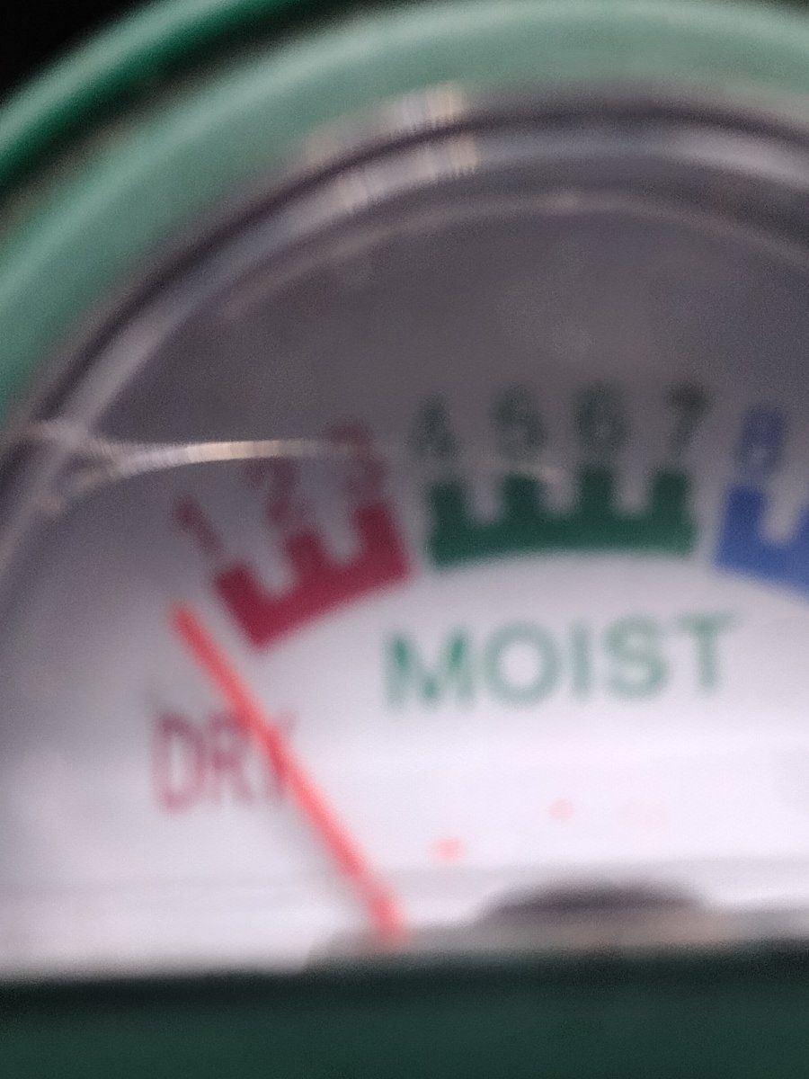 IMG 20240107 094948535