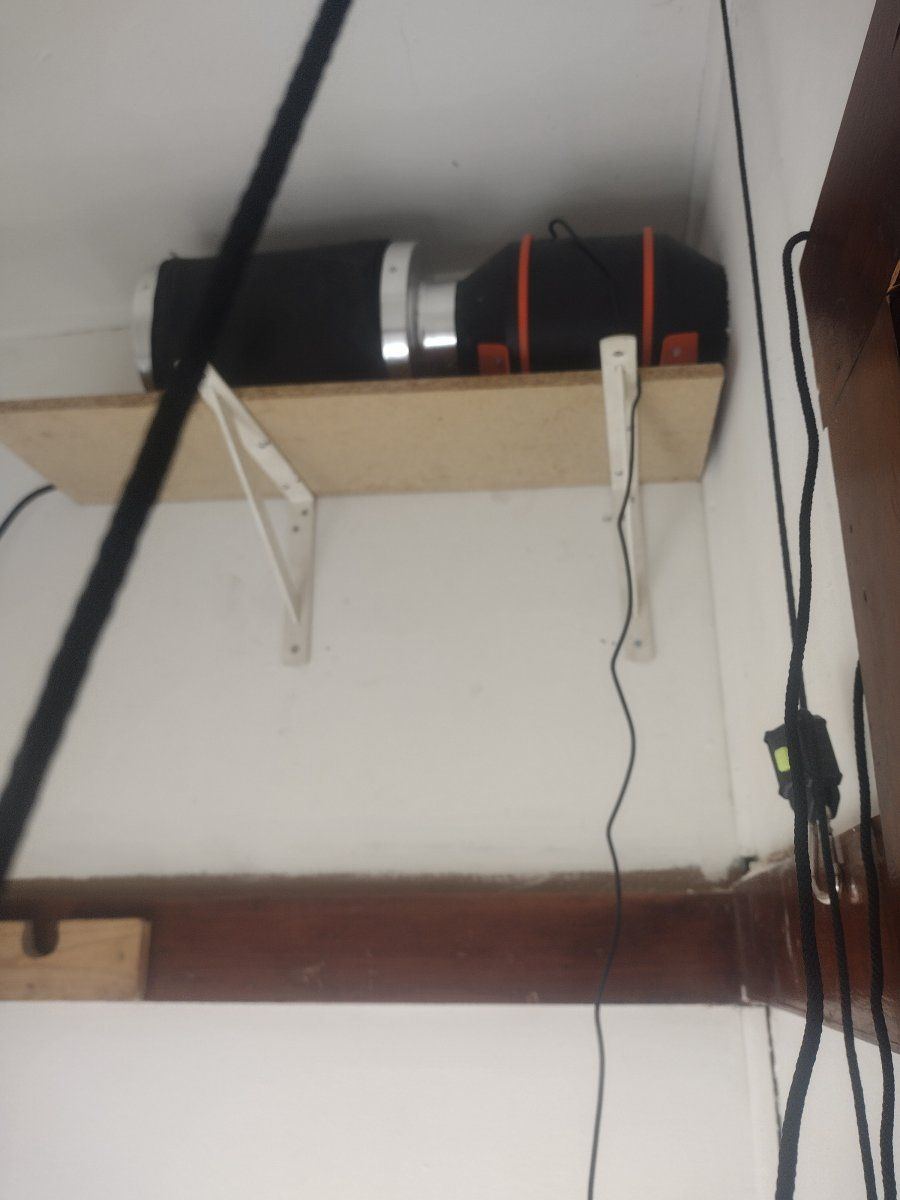 IMG 20240128 080621304