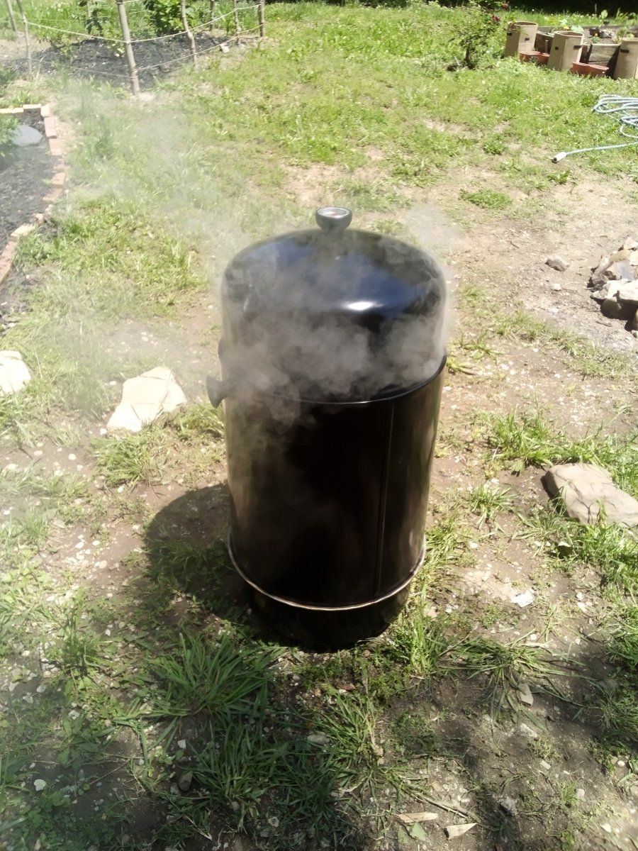 IMG 20240512 144505