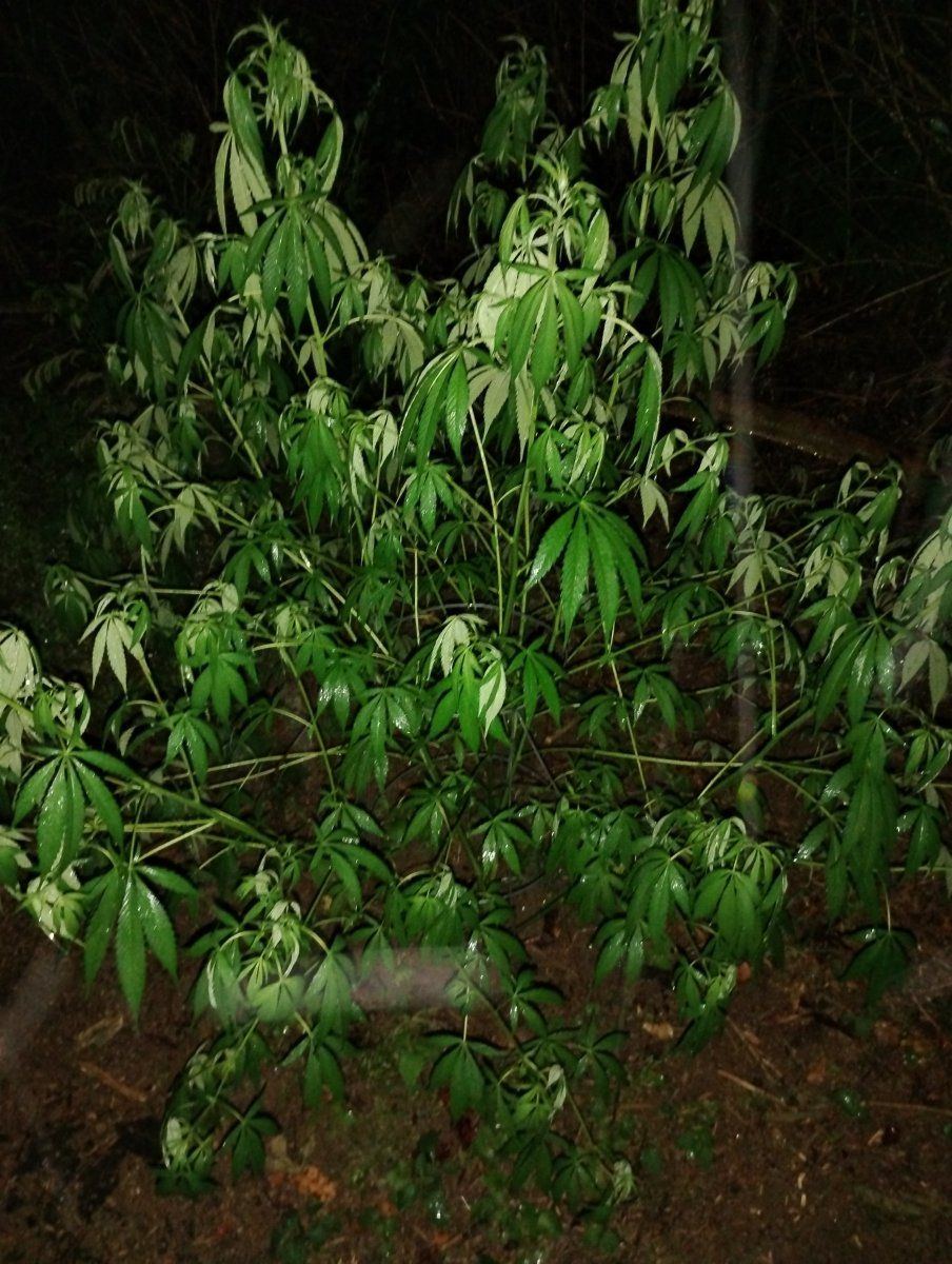 IMG 20240623 232530725