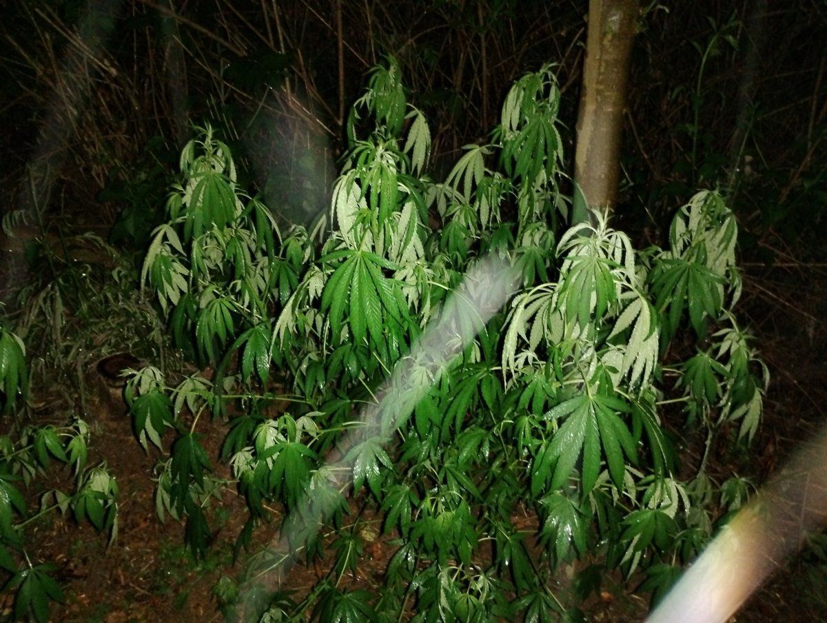 IMG 20240623 232538465