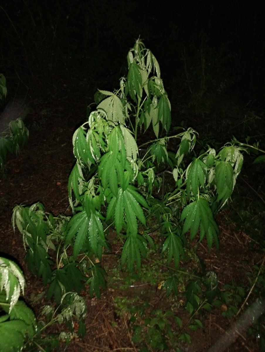 IMG 20240623 232613073