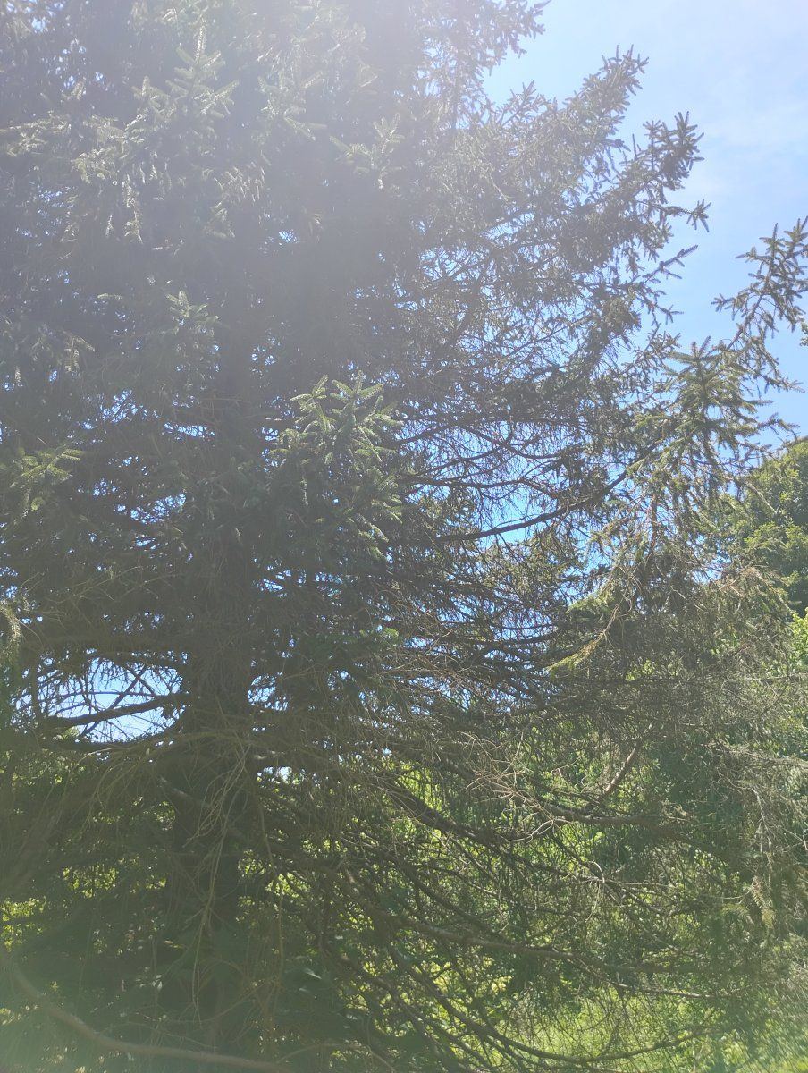 IMG 20240626 141642632